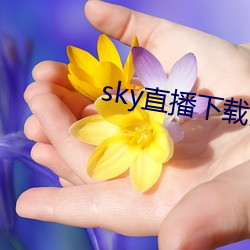 sky直播下载安卓
