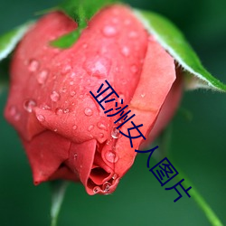 亞洲女人圖片