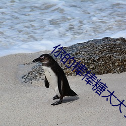 你的棒棒糖太大了