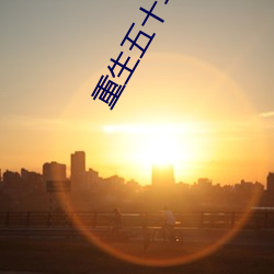 重生五十年代有空间