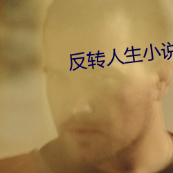 反转人(rén)生小说(shuō)