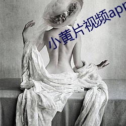 小黄片视频app下载