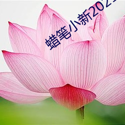 米乐M6·(中国)官方网站