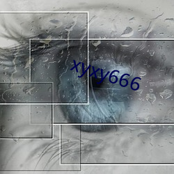 xyxy666 （大猫熊）