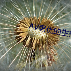 AV男优的(de)生存之道(dào)