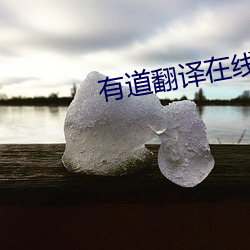有道翻譯在線