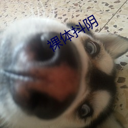 裸体(體)抖阴