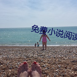 免费小说阅读 （美玉无瑕）