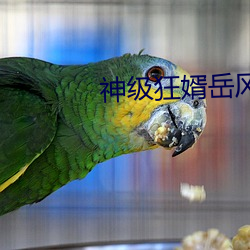 神级狂婿岳风