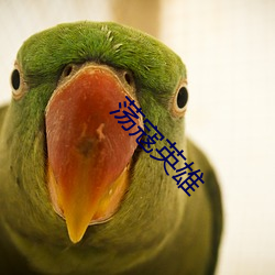 蕩寇英雄