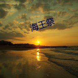 海(海)王祭