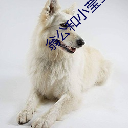 918博天堂·(中国)手机版客户端