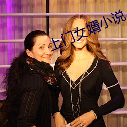 上门女婿小说