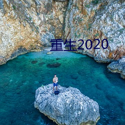 重生2020