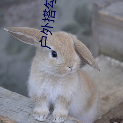 戶外搭勾直播