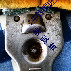 《牛(牛)鞭(鞭)擦进女人下(下)身视频(頻)电(電)影完整(整)版手机免费观看(看)