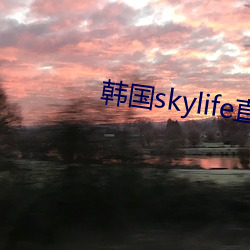 韩国skylife直(直)播平台dmb