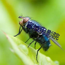宣城电影院