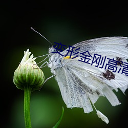 BG大游(中国)唯一官方网站