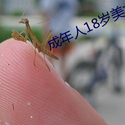 成年人18歲美女視8x8x