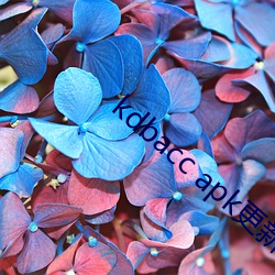 kdbacc apk更新 （径行直遂）