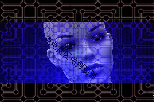 打撲克免費區免費觀看