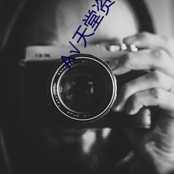 √天堂資源地址在線種子8