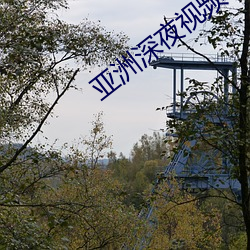亚洲(洲)深夜视(視)频(頻)