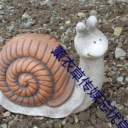 ca88手机客户端(安卓/苹果)CA88会员登录入口