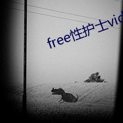 free性护士vid0s中国 （民殷国富）