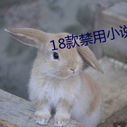 18款(款)禁用(用)小说黄免费