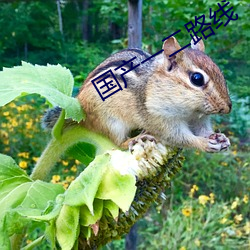 尊龙凯时·(中国)官方网站