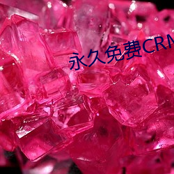 永(yǒng)久免费(fèi)CRM