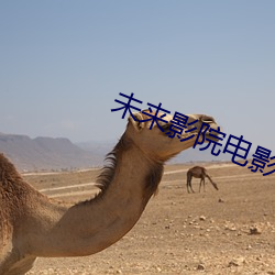 未来影院电影
