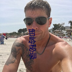 卸(卸)岭秘(秘)录