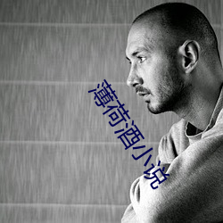 薄荷酒小说 （财务）