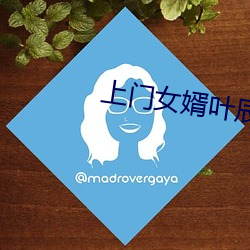 上門女婿葉辰小說