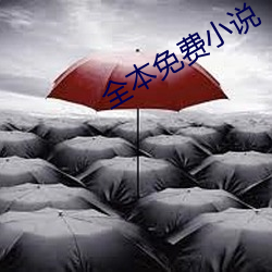 全本免费小(小)说(說)