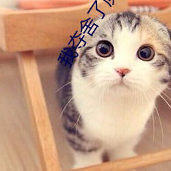 我夺舍(shě)了魔皇(huáng)