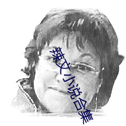 辣文小说合集 （肉朋酒友）