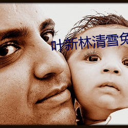 叶新(新)林(林)清(清)雪免费阅读(讀)
