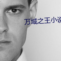 萬域之王小說