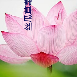 丝瓜草莓菠萝