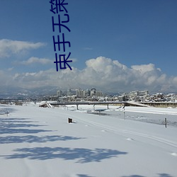 束手无策造句(jù)