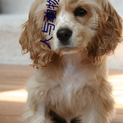 人(rén)与动物(wù)性与交配