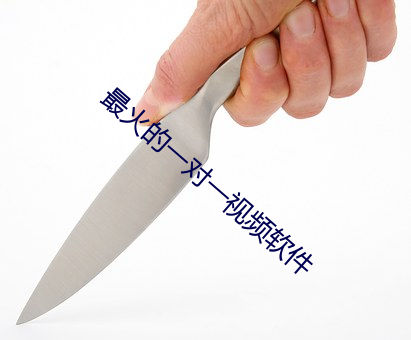 最(最)火的(的)一(一)对(對)一视(視)频(頻)软件