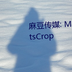 麻豆传媒: Madou01.com at StatsCrop （强识博闻）