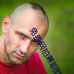 免费网拍兼职软件