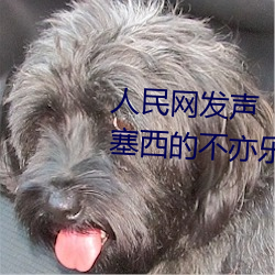人民网发声“斗罗大陆唐三桶波塞西的不亦乐乎” （酸咸苦辣）