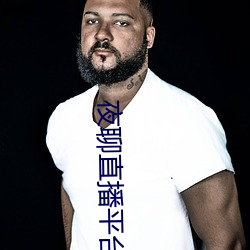 夜聊直播平台 （敛影逃形）
